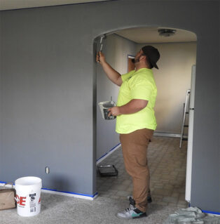 Home Renovation Painter